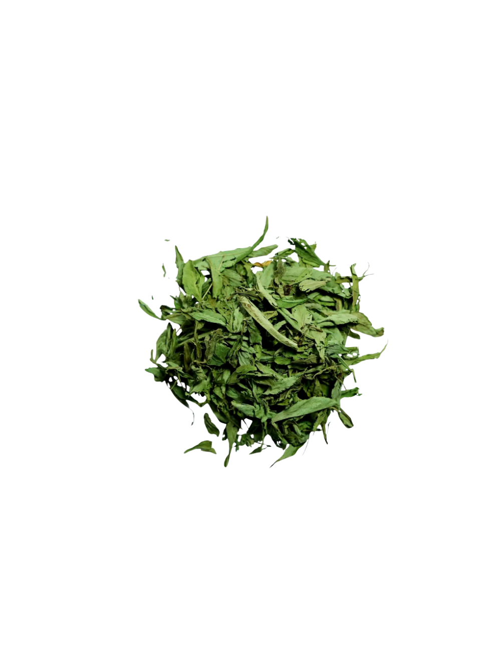 Estevia en hoja natural Estevia En Hoja Natural