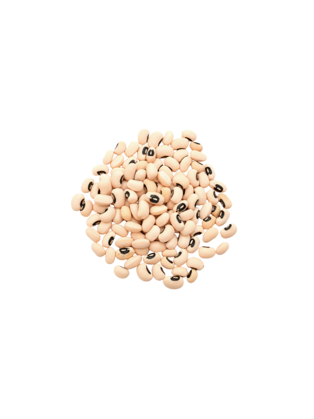 Frijol castilla Frijol Castilla