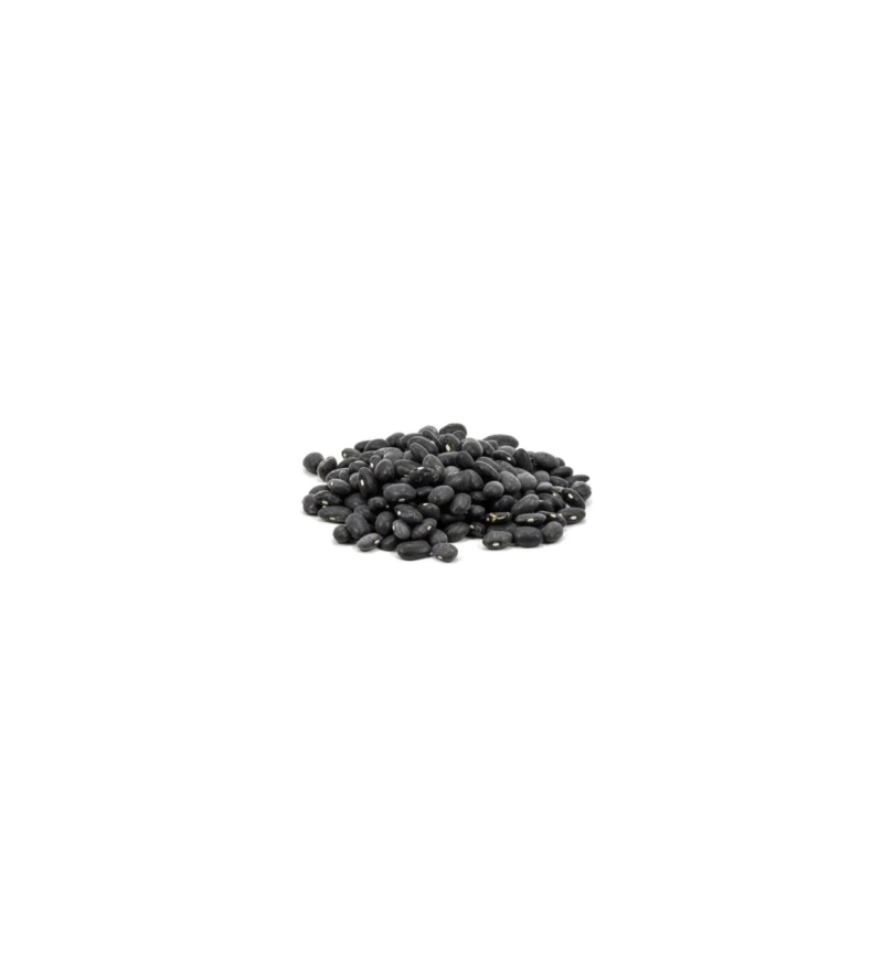 Frijol Negro