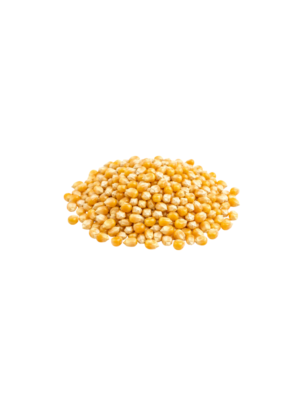 Maiz Pop Corn