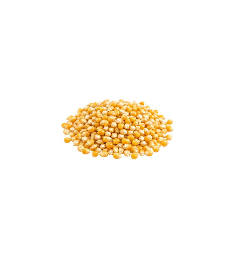 Maiz pop corn Maiz Pop Corn