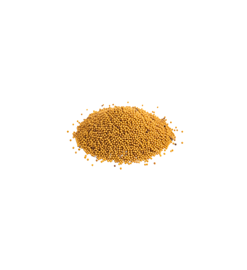mostaza en grano Mostaza En Grano